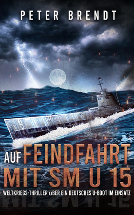 Auf Feindfahrt mit SM U 15(ebook)